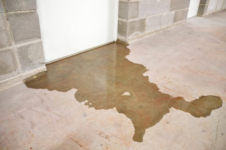 Water Intrusion Repair Guide