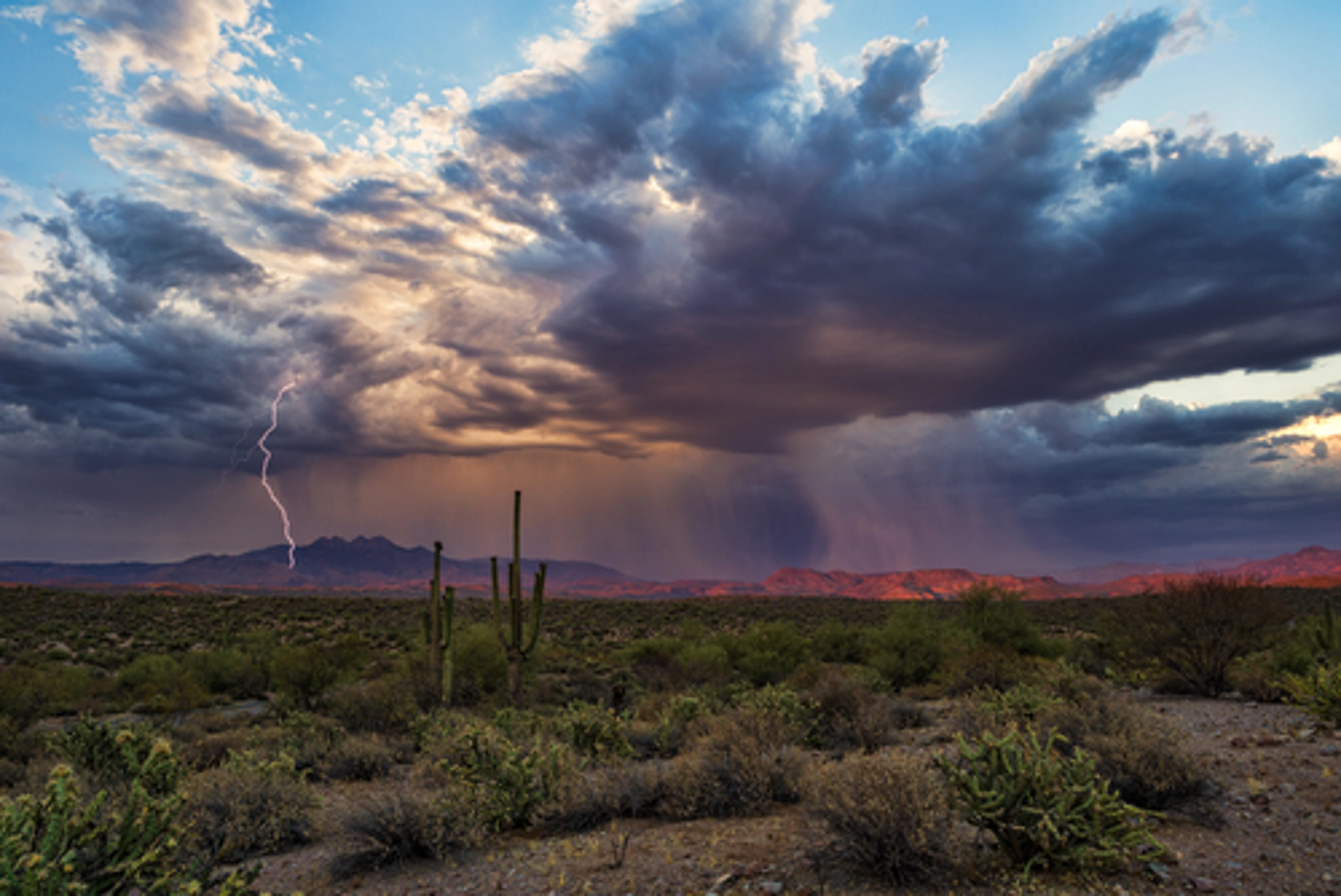 For emergency water extraction and water damage restoration near you during the southwest monsoon season, call SERVPRO®. The #1 choice in fire and water cleanup and restoration is always available with 24-hour emergency services.