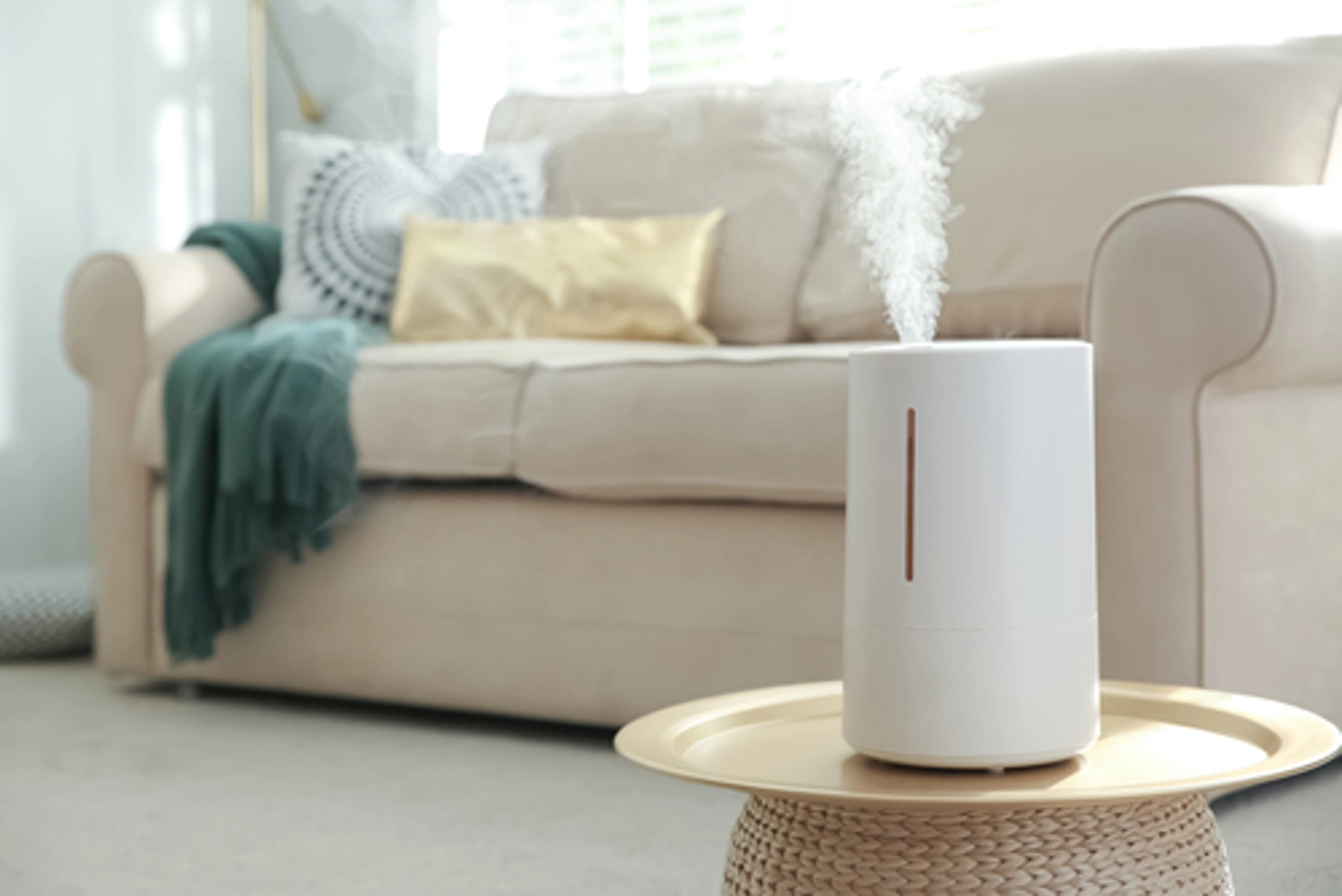 A clean humidifier will keep indoor healthy and can ease allergies 