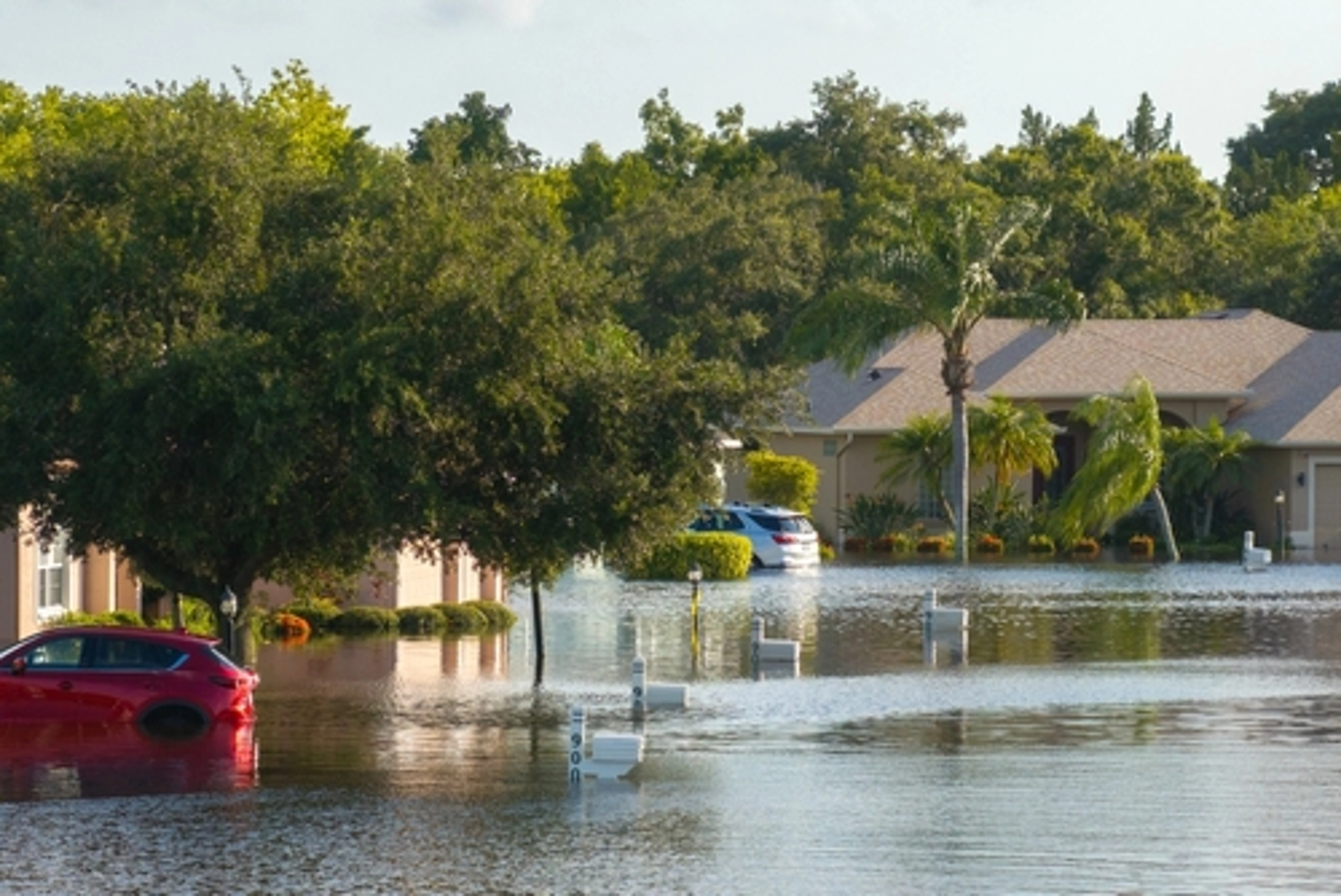 Many factors can affect flood risk, including property location and building characteristics. Additionally, there are three flood risk ratings and five flood zone types. When flood damage strikes, trust SERVPRO® for cleanup.