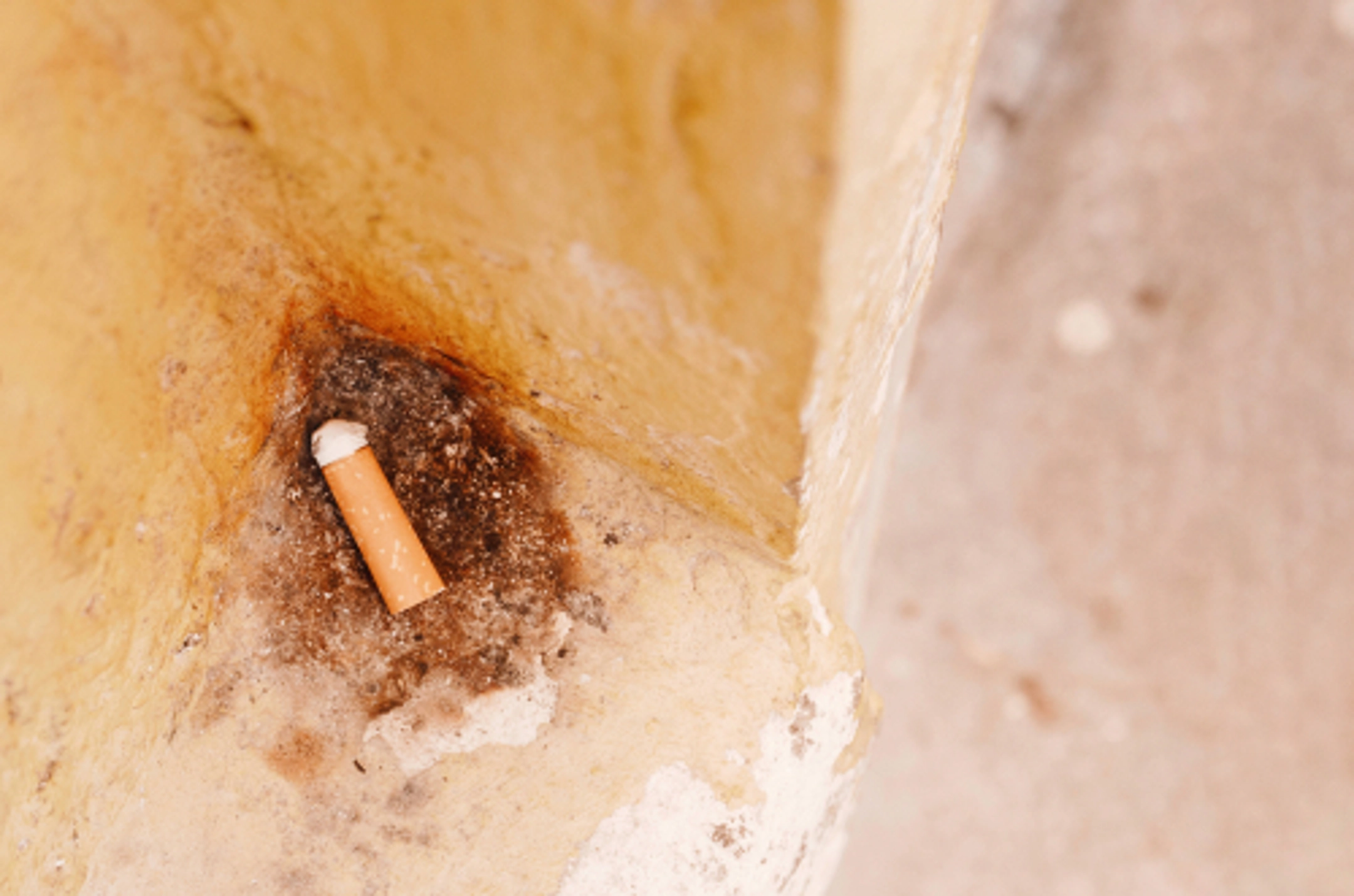 Like cigarette smoke, nicotine can cause wall stains that may be difficult to remove. In addition to professional help, SERVPRO® offers a variety of home remedies to help reduce or remove nicotine stains from your walls.