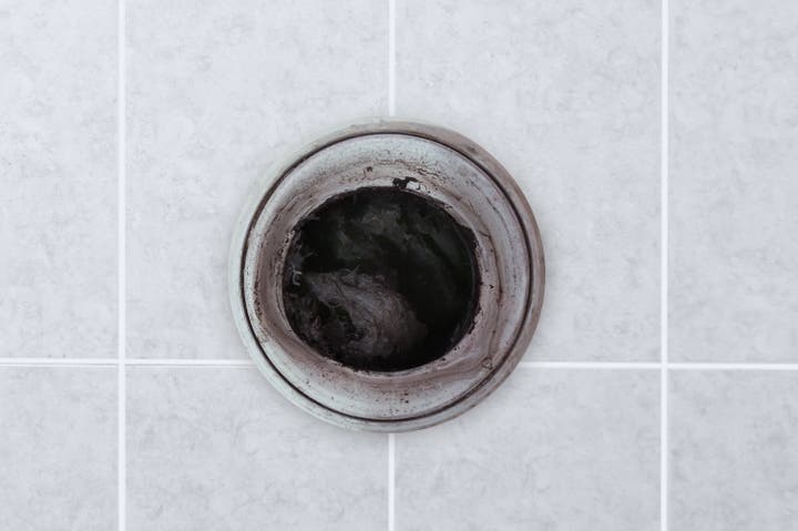 Home Sewer Backup: Causes, Fixes and Prevention