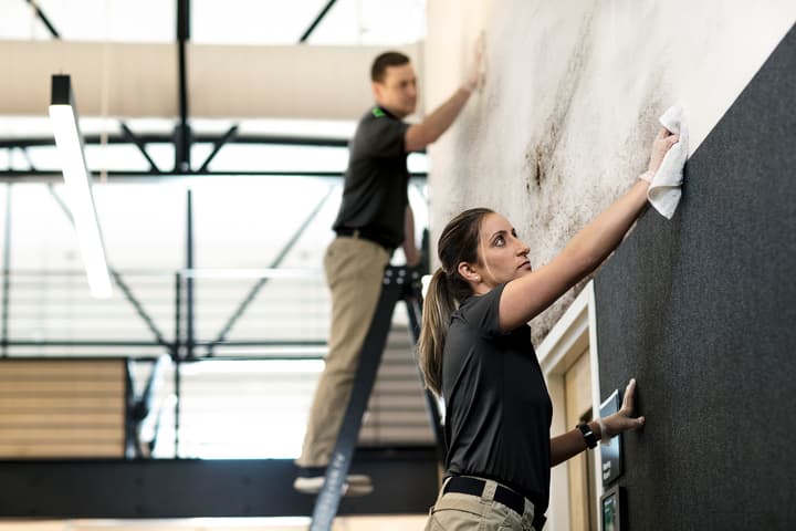 Commercial_Ceilings_Floors_&_Walls_Page.jpg