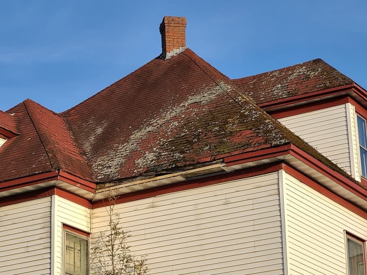 How to Remove Mold from Your Roof
